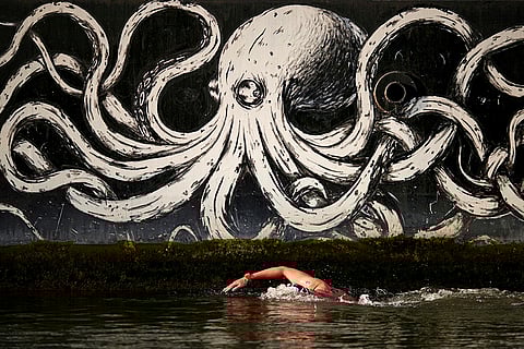 Marathon swimming women's 10km competition